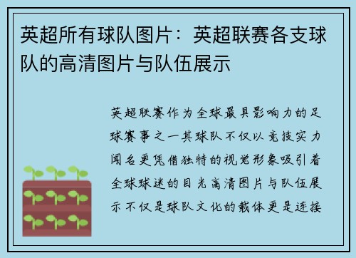 英超所有球队图片：英超联赛各支球队的高清图片与队伍展示